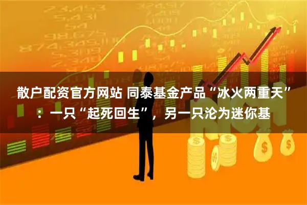 散户配资官方网站 同泰基金产品“冰火两重天”：一只“起死回生”，另一只沦为迷你基