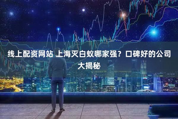 线上配资网站 上海灭白蚁哪家强？口碑好的公司大揭秘
