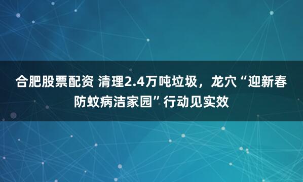 合肥股票配资 清理2.4万吨垃圾，龙穴“迎新春防蚊病洁家园”行动见实效