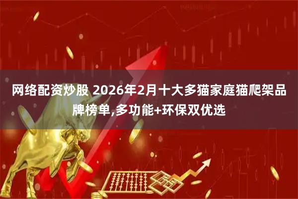 网络配资炒股 2026年2月十大多猫家庭猫爬架品牌榜单,多功能+环保双优选